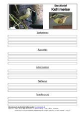 Steckbriefvorlage-Kohlmeise-3.pdf